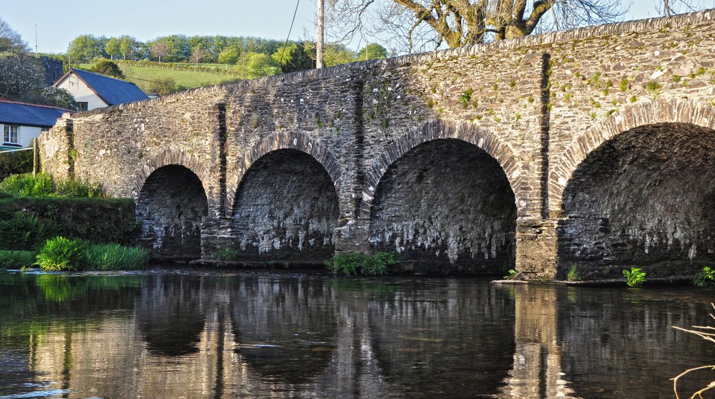 Withypool : New Bridge & River Barle