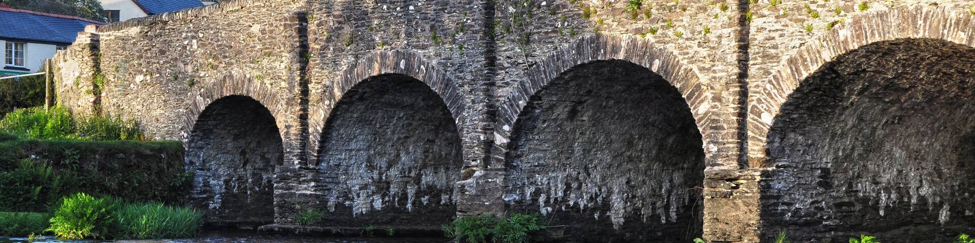 Withypool : New Bridge & River Barle
