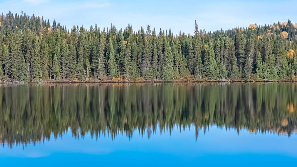 Canada, panorama of a mountain lake in the forest during the Indian summer, beautiful landscape in a wild country, reflection on the water