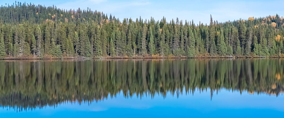 A calm lake reflecting dense forest with autumn-colored trees.