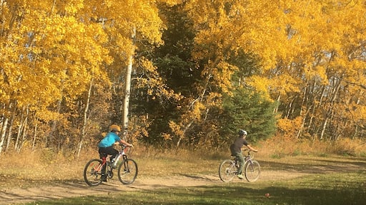 Cold Lake military base has some great bike trails!