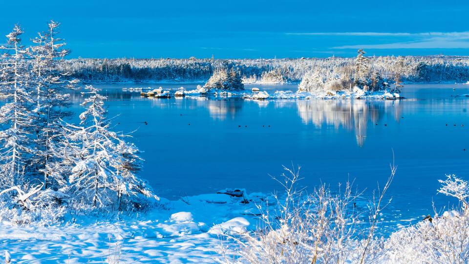 coastal snow scene