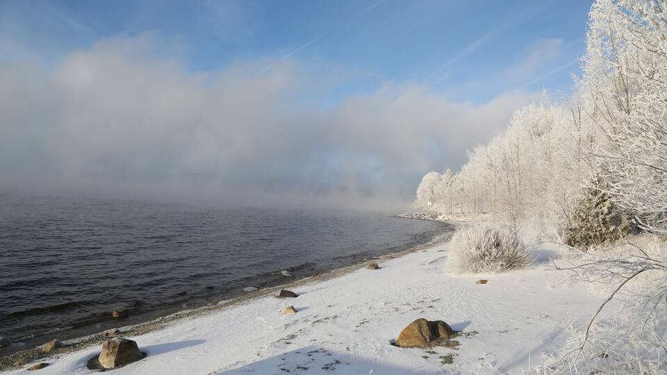 Frosty Trees Line a Snowy Shore on a Clear Winter Day in Lac-Megantic, Quebec, Canada