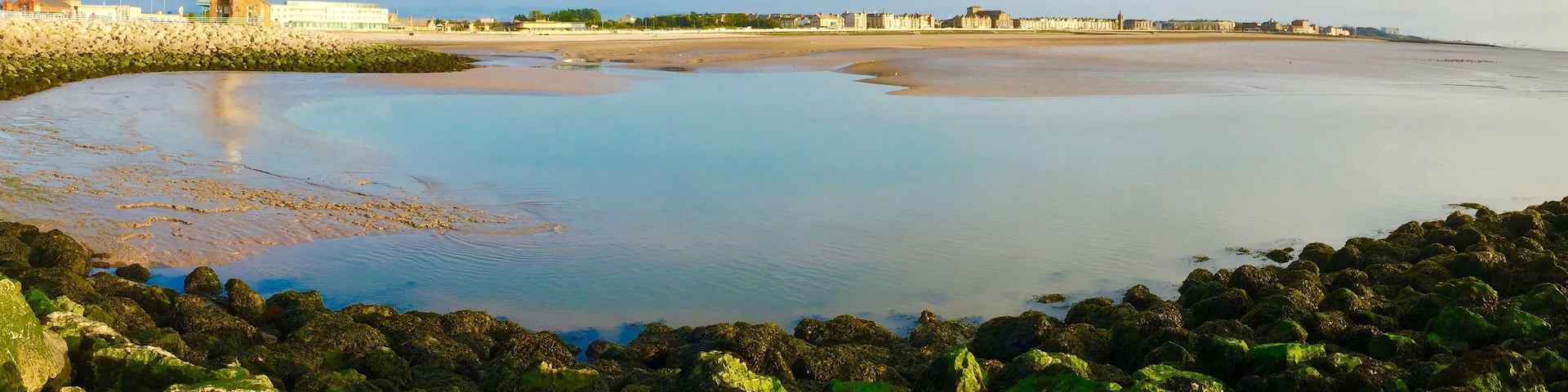 Beautiful summer evening