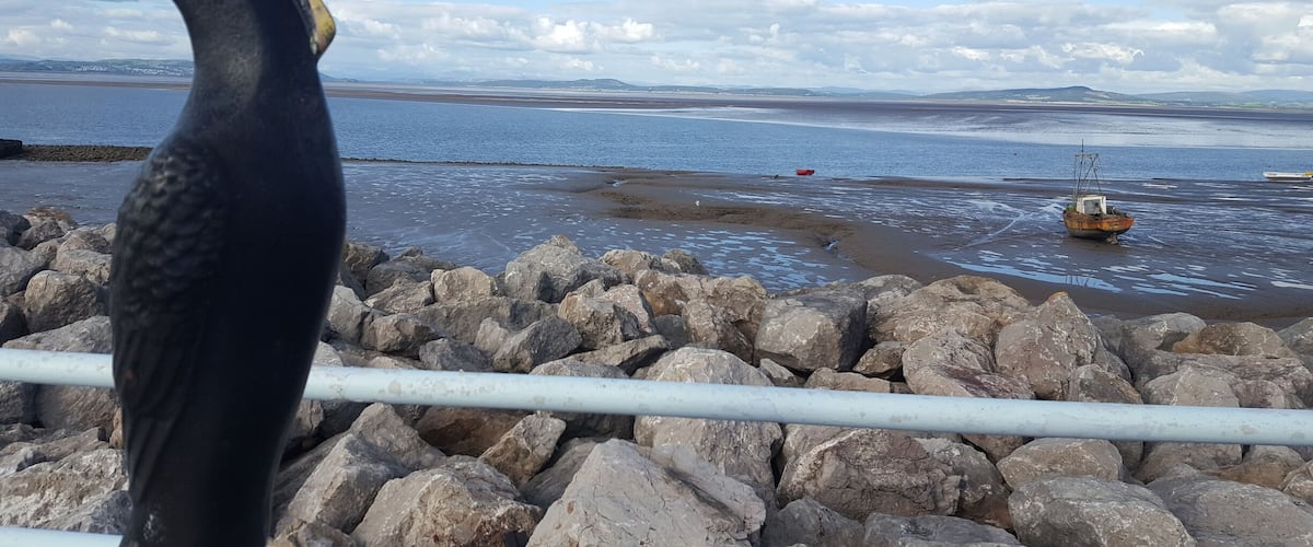 A rocky shoreline with a bird, a calm sea, and distant mountains.