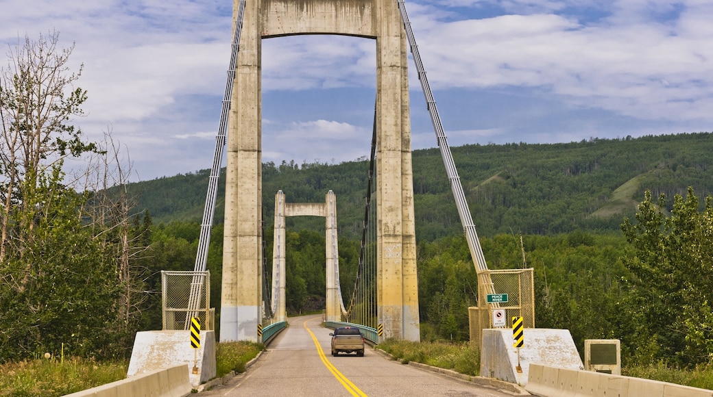 Peace River suspension bridge