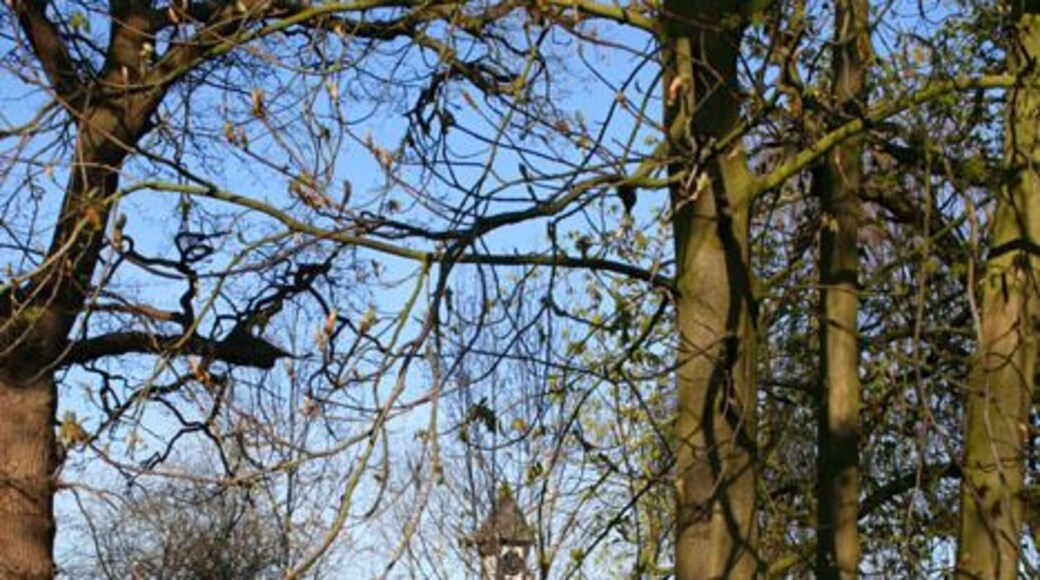 Stables block, Rookery Hall Stables block of Rookery Hall from the main driveway across the gardens; now part of the luxury hotel. See also 389290