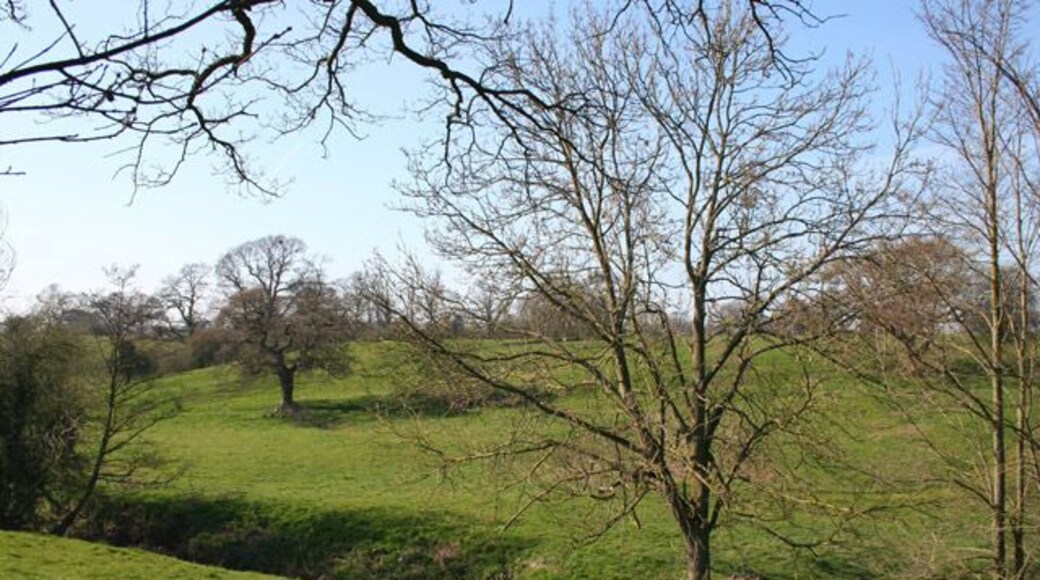 Sheep pasture by a tributary of the Weaver Sloping sheep pasture in the valley of a tributary of the River Weaver to the west of the B5074. View from the B5074, immediately south of Rookery Bridge