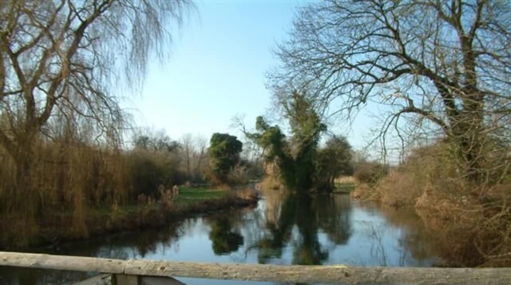 The River Kennet, Halfway. Looking East toward Hungerford