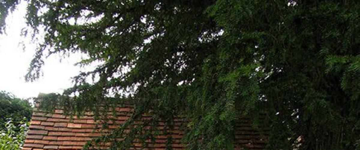 Un vialetto conduce a un cimitero sotto un arco coperto.