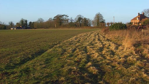 Farmland, Elcot A cereal field with the farmhouse to the right and buildings near the hotel to the left.