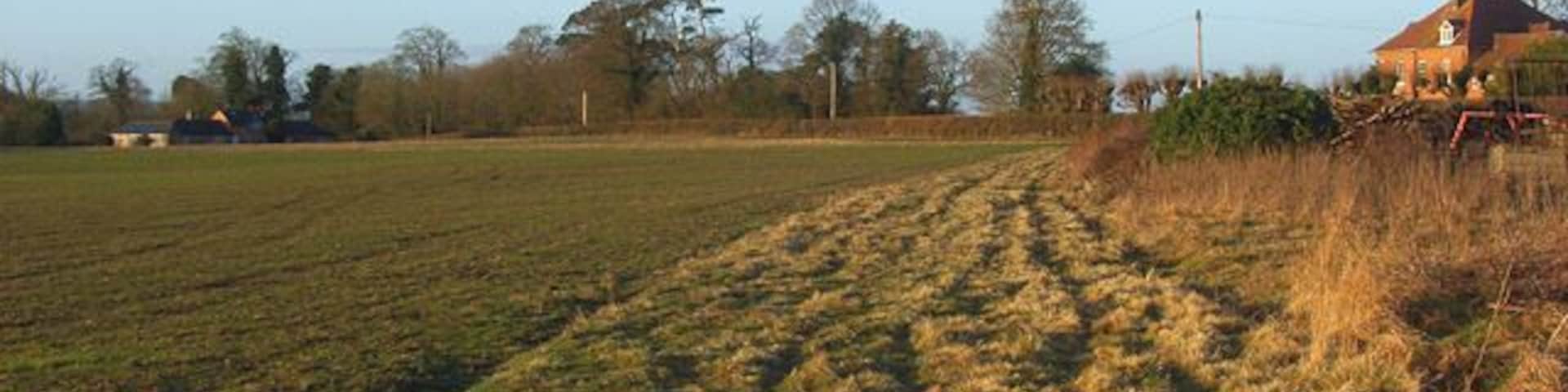 Farmland, Elcot A cereal field with the farmhouse to the right and buildings near the hotel to the left.