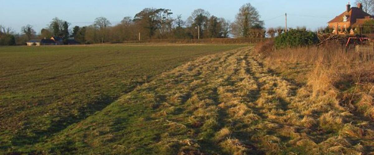 A rural landscape with a field, a house, and trees in the background.