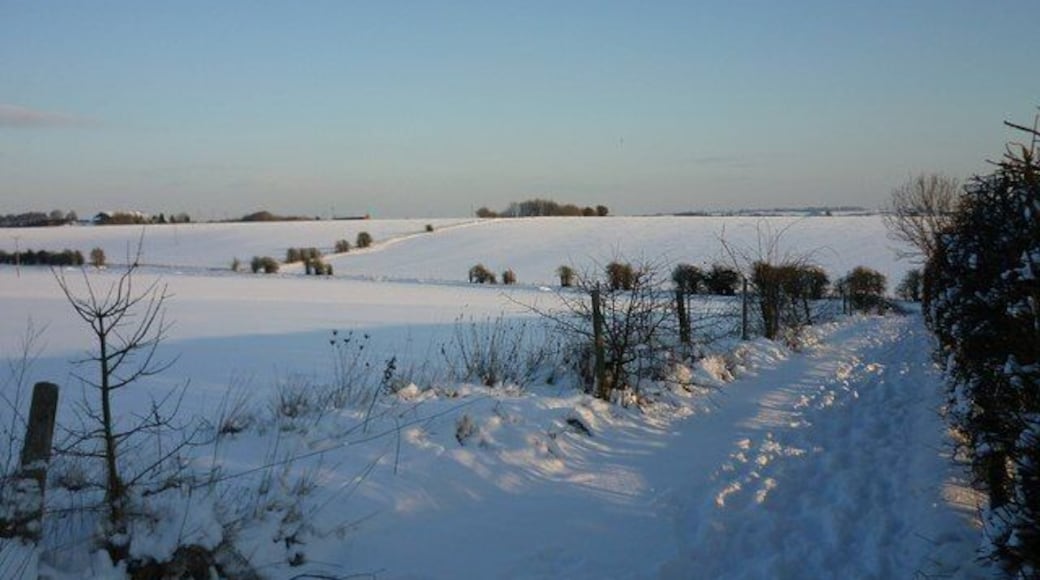 Path alongside Summerdown, East Ilsley This unmarked path runs between Summerdown Stables and an arable field.
