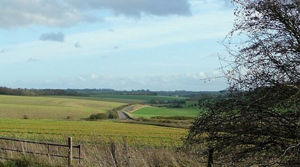 East of East Ilsley Taken from one of the many byways and bridleways that converge on East Ilsley. This one climbs to join the Ridgeway, with a view along the road towards Compton. There is extensive arable land on the lower parts of this dip face of the downs.