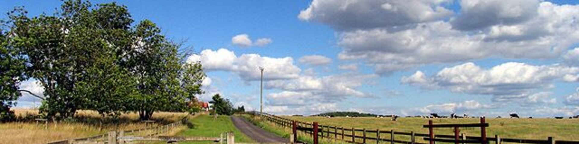 Down Farm near Worlds End. This square is mostly farmland but also contains a number of residences probably belonging to the village of World's End. Down Farm is in the southern half of the square, west of the centre.