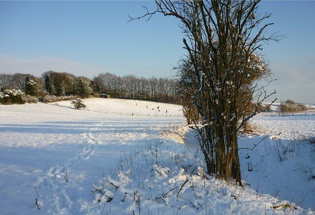 Snowy fields in East Ilsley The ditch is the dry bed of the River Pang, which flows when the water table rises.