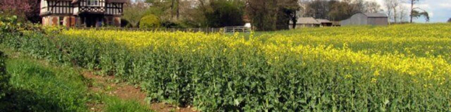 Coldridges Farm. Situated in the western section near the edge of the grid square, this picture was taken from the A339 to Newbury, looking north east.