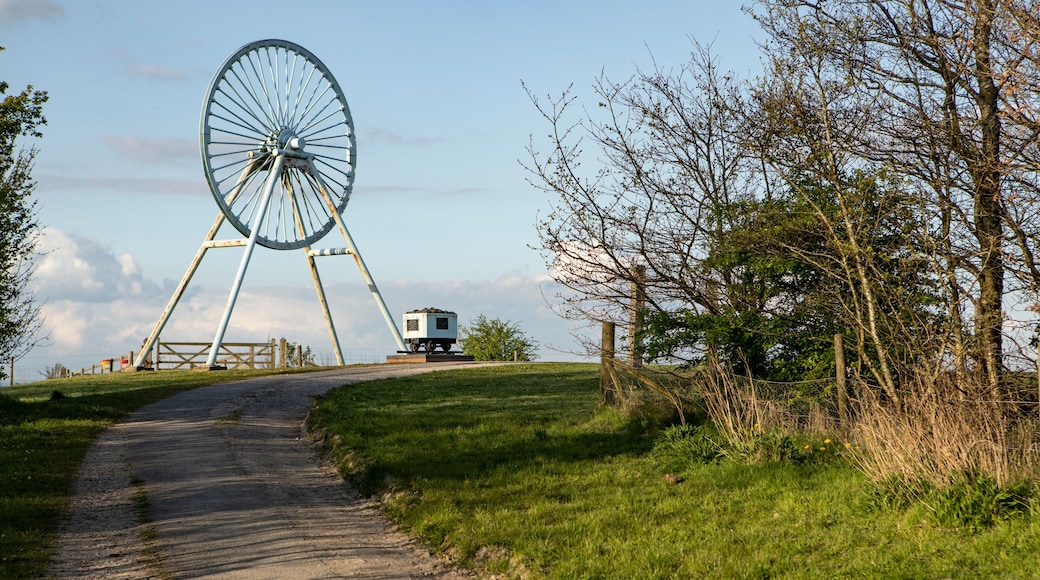 Newcastle-under-Lyme