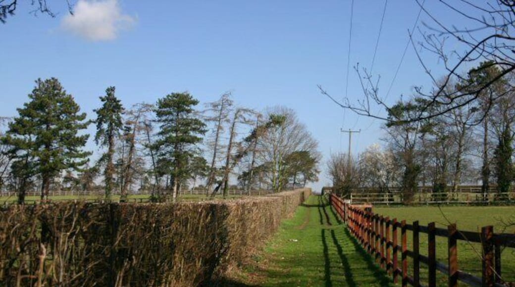 Track at Six Mile Bottom An unnamed track leading off the minor road between Six Mile Bottom and Little Wilbraham.