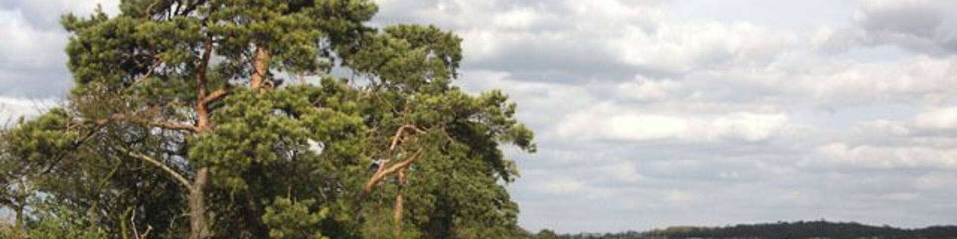 Footpath Belt This line of trees is named 'Footpath Belt' after the public path to Six Mile Bottom that follows its northern side.