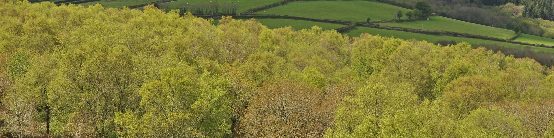 Easdon Tor on eastern Dartmoor as seen from Manaton Rocks.