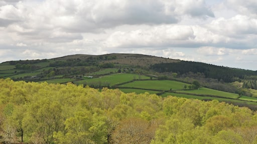 Easdon Tor on eastern Dartmoor as seen from Manaton Rocks.
