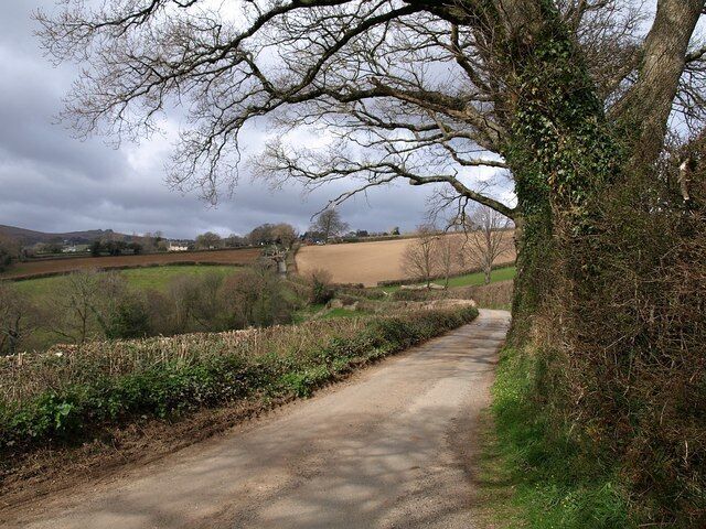 Lane near Ilsington This lane, along the north side of the Liverton Brook valley, continues the line of Tipleyhill Lane. Here it is on its way to Narracombe.