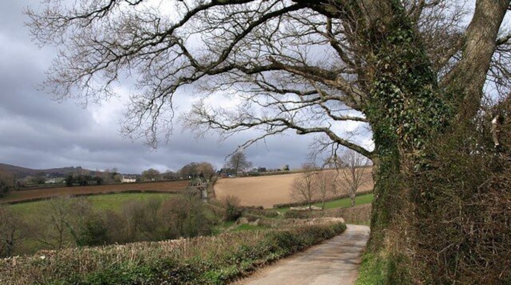 Lane near Ilsington This lane, along the north side of the Liverton Brook valley, continues the line of Tipleyhill Lane. Here it is on its way to Narracombe.
