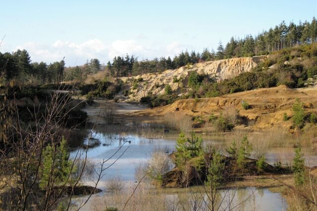 Old sand quarry, Sands Copse Active quarrying continues out of sight among the plantations. The darker ground on the right has been found by mountain bike riders.
