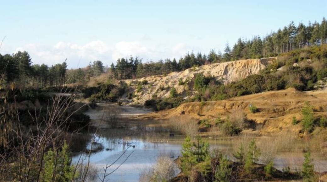 Old sand quarry, Sands Copse Active quarrying continues out of sight among the plantations. The darker ground on the right has been found by mountain bike riders.