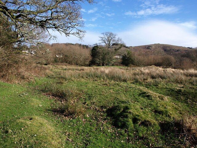 A grassy field with trees and hills in the background.