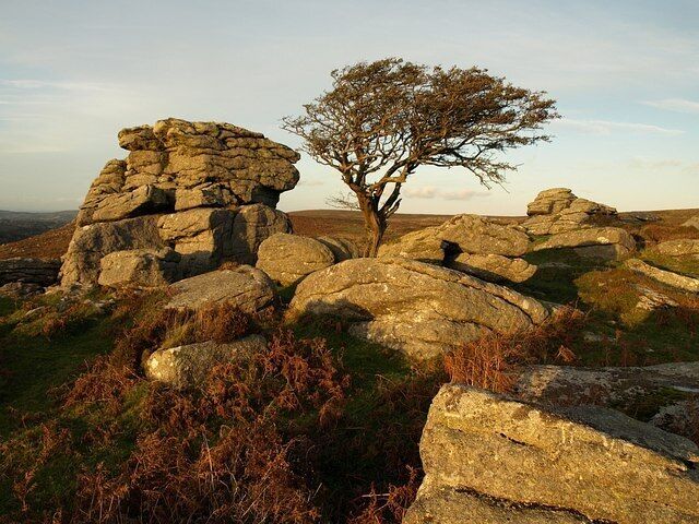 A rocky landscape with a solitary tree and stone formations.