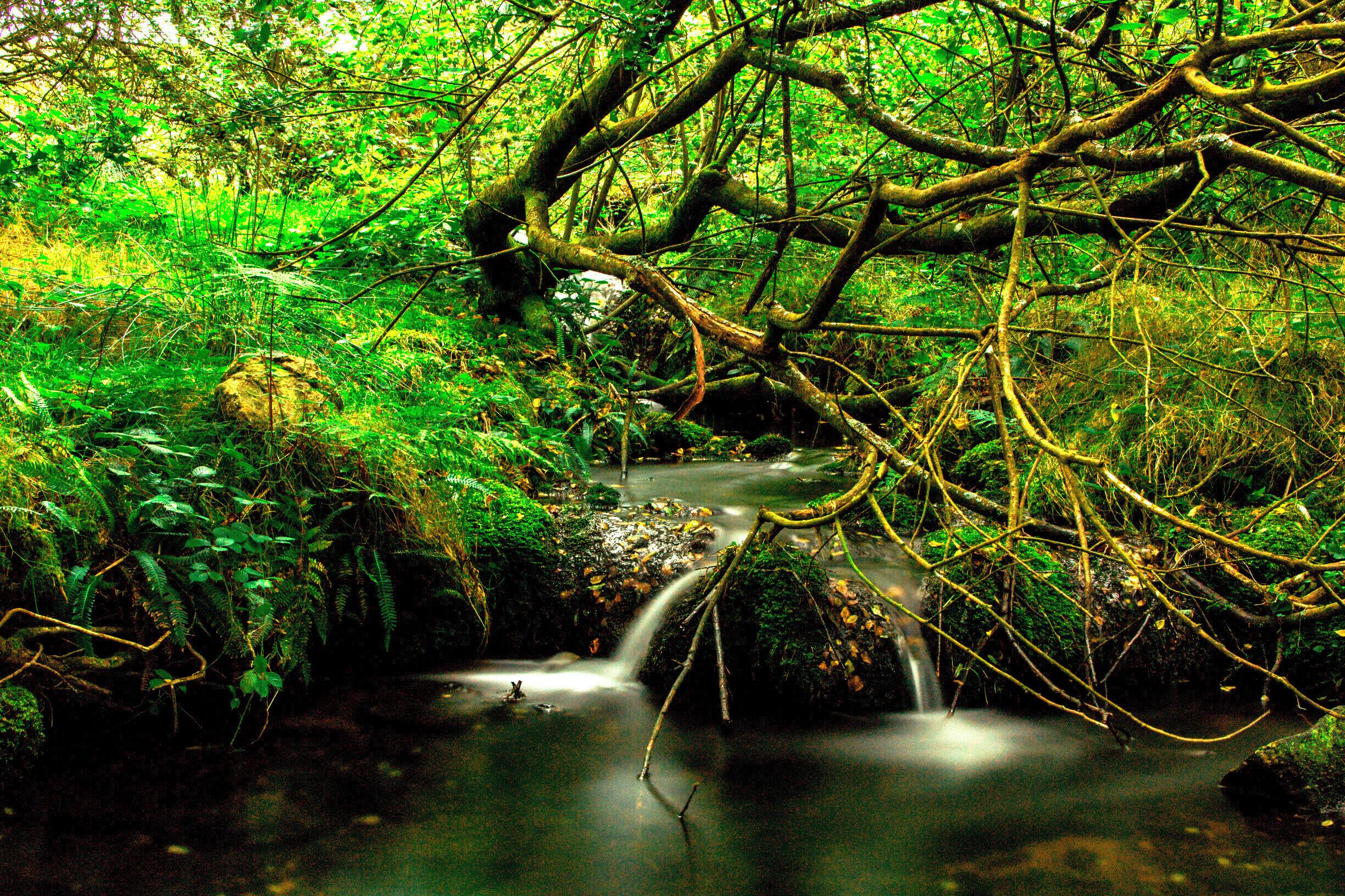 Beautiful colours, easy to find