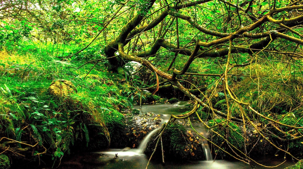 Beautiful colours, easy to find