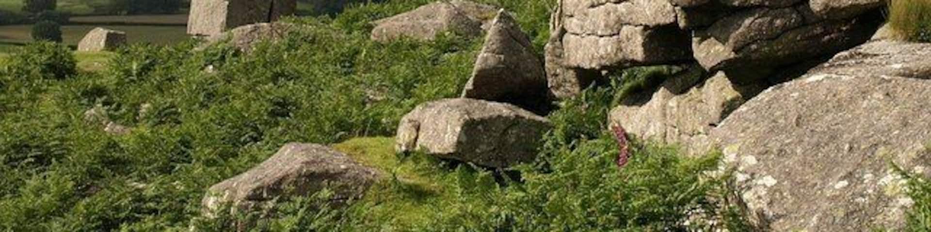 A landscape with large boulders and a rolling hill in the background.