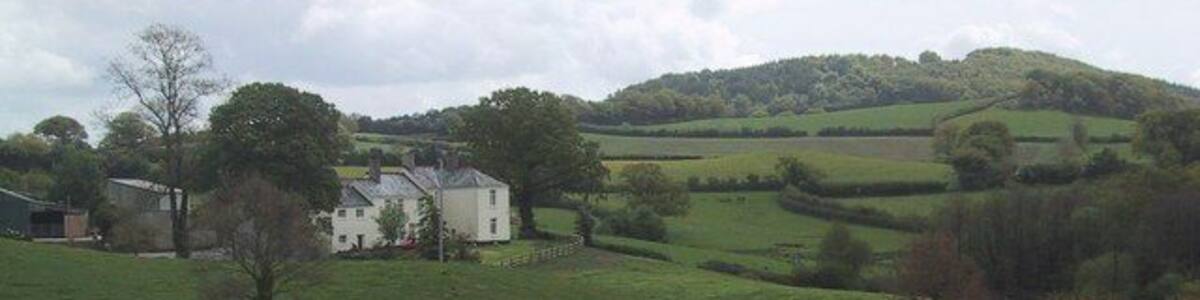 Fields by Greatastones