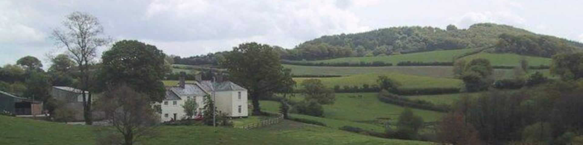 Fields by Greatastones