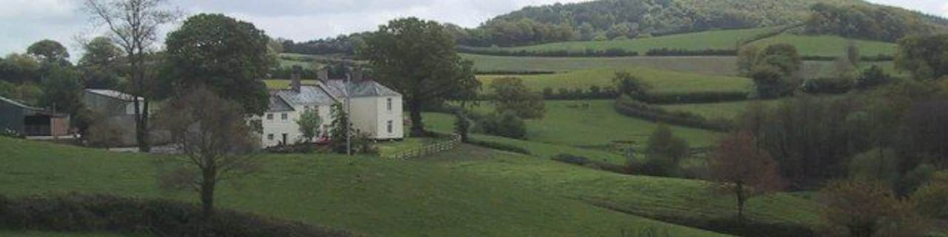 Fields by Greatastones