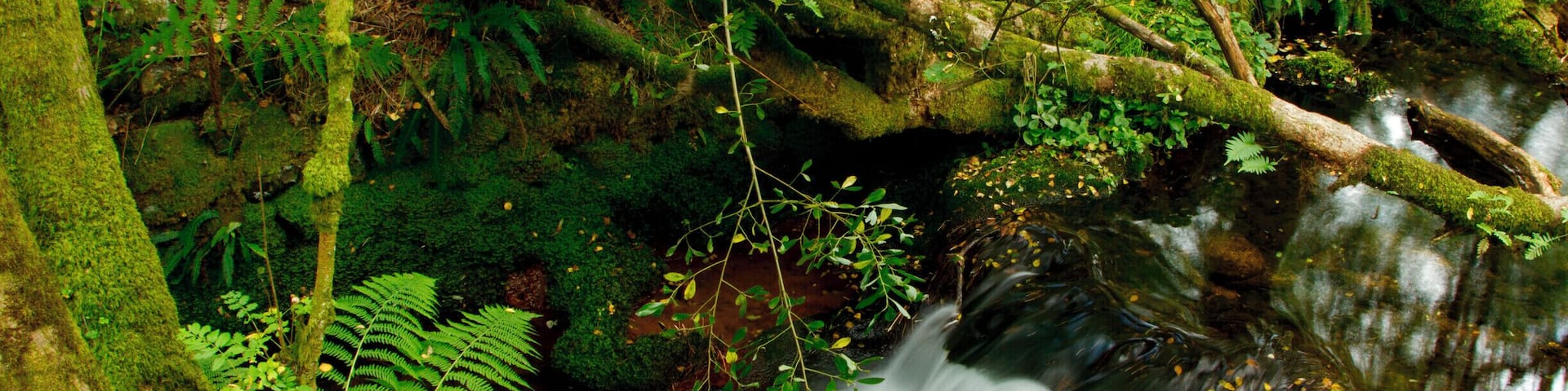 Awesome colours, easy to find