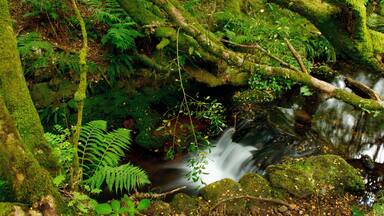 Awesome colours, easy to find