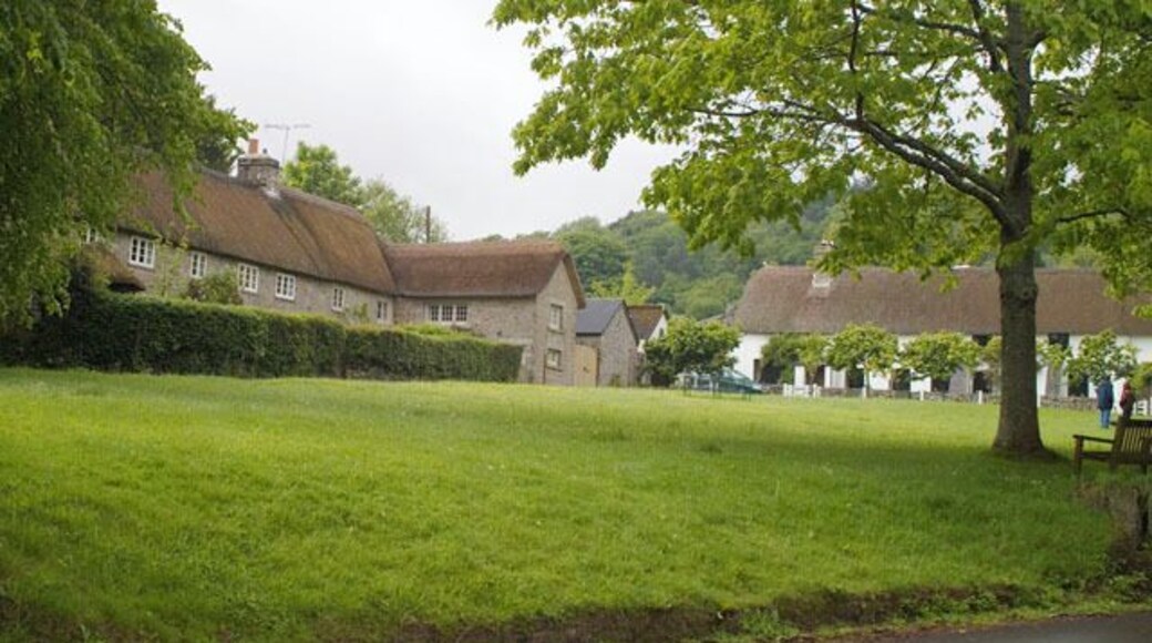 Village Green, Manaton. This is a view across the village green to the traditional thatched cottages surrounding the green.