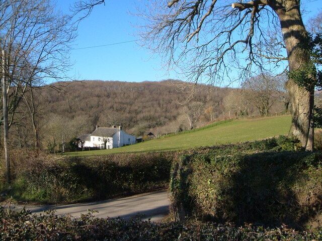 Woodhouse from Woodhouse Cross. Looking SW across the valley of the Liverton Brook to Ilsington Wood in the background