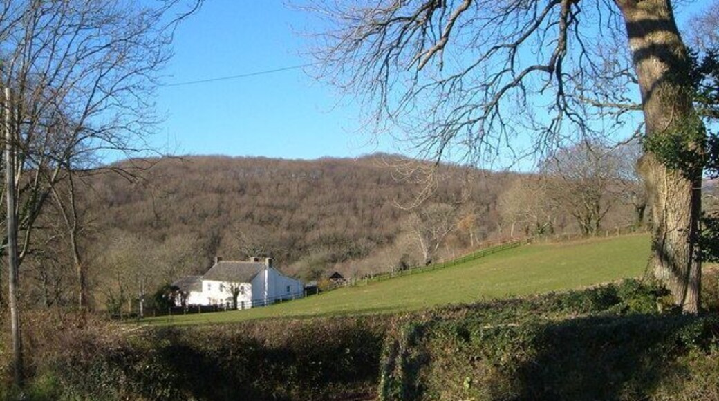 Woodhouse from Woodhouse Cross. Looking SW across the valley of the Liverton Brook to Ilsington Wood in the background