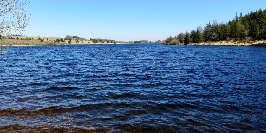 Fernworthy on a glorious April afternoon - 2015