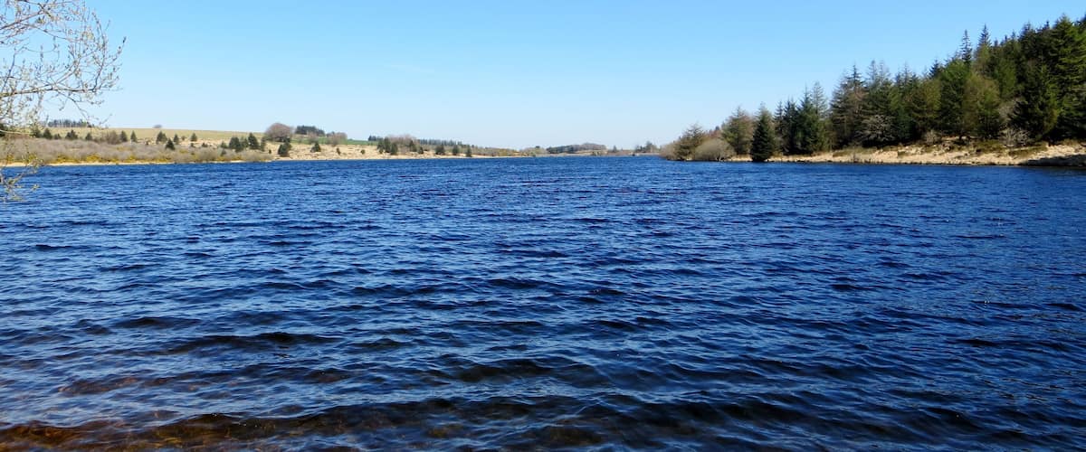 A calm lake with clear water, surrounded by trees and hills.