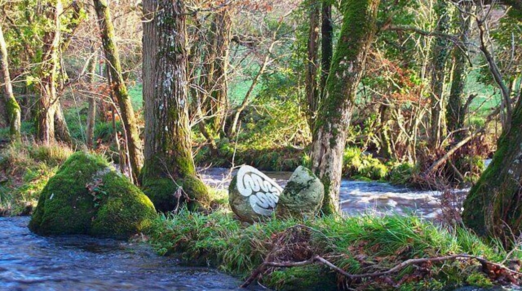 Sculpture on River Teign. There's a stone sculpture on an island in the River teign. Made by Peter Randall-Page it is made from a granite boulder - called Granite Song