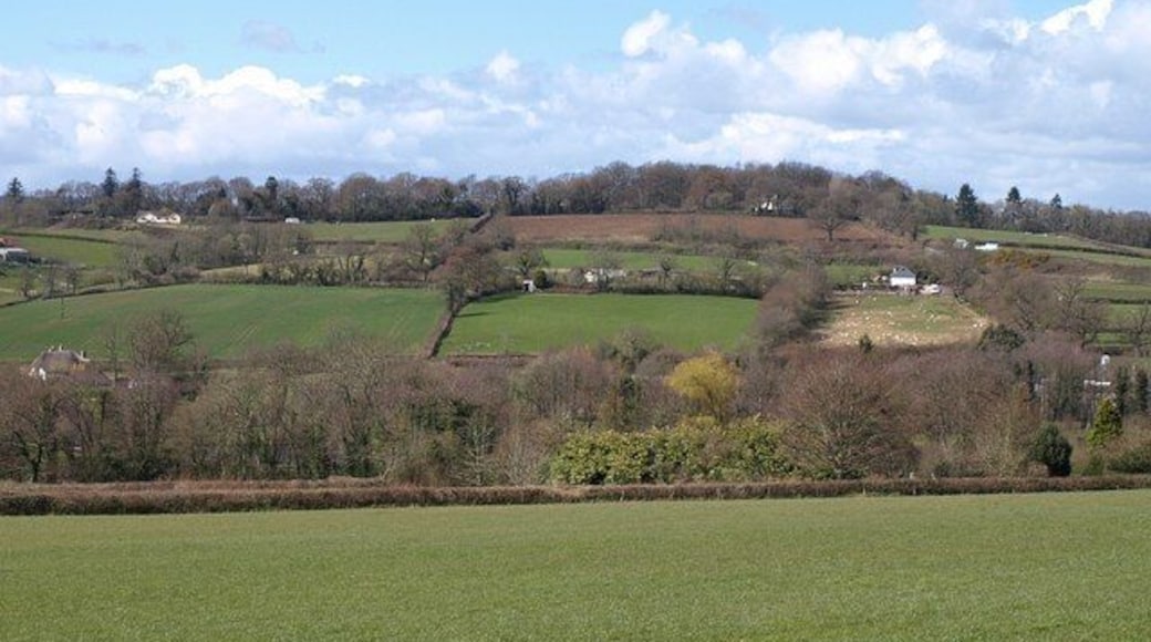 Kate Brook valley. Taken from the same place as 749075, looking to the left across the valley. Hidden beyond the nearest hedge is 175534. The slopes on the far side of the brook are in SX8780 and SX8781.