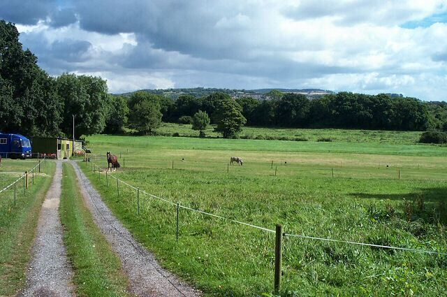 Meadows near Knowles Hill - Newton Abbot. The line of trees mark where the Stover canal and River Teign pass through on their way to the Teign estuary.