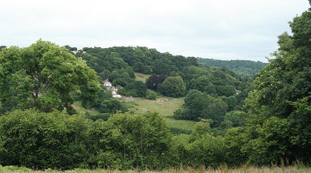 Lustleigh: south of Hammerslake Looking roughly east across a valley towards Combe and Mapstone